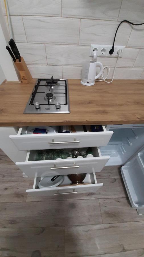Transfer Apartament І.Franka 59 Lviv Buitenkant foto